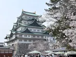 名古屋城に投稿された画像（2026/3/29）