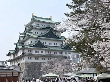 名古屋城に投稿された画像（2026/3/29）