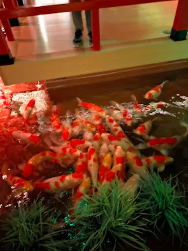 AQUARIUM × ART　atoaに投稿された画像（2026/3/29）