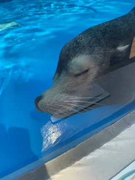 サンシャイン水族館に投稿された画像（2026/3/29）