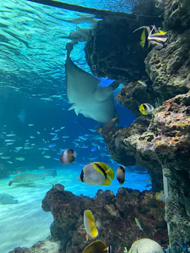 サンシャイン水族館に投稿された画像（2026/3/29）