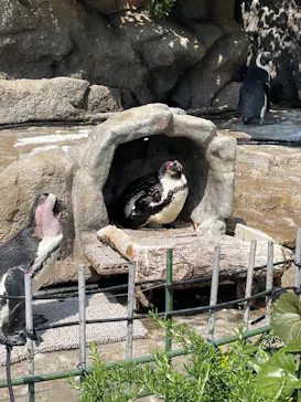 サンシャイン水族館に投稿された画像（2026/3/29）