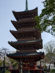 恩賜上野動物園に投稿された画像（2026/3/29）