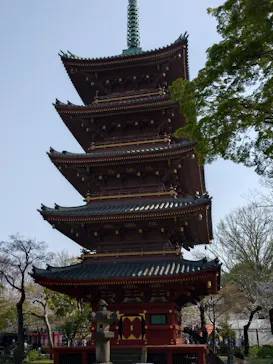 恩賜上野動物園に投稿された画像（2026/3/29）