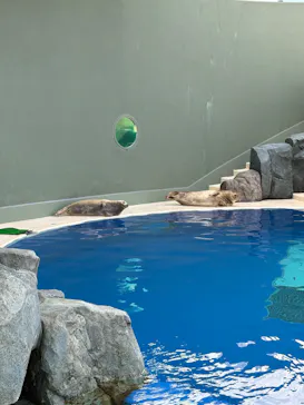 大分マリーンパレス水族館 「うみたまご」に投稿された画像（2026/3/29）