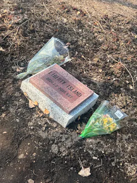 ノーザンホースパークに投稿された画像（2026/3/29）