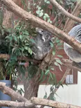 こども動物自然公園（埼玉県公園緑地協会）に投稿された画像（2026/3/29）