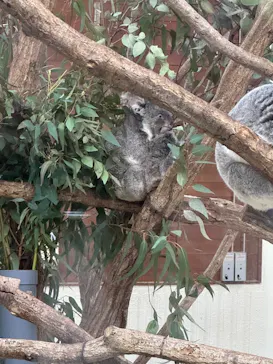 こども動物自然公園（埼玉県公園緑地協会）に投稿された画像（2026/3/29）