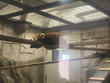 天王寺動物園に投稿された画像（2026/3/29）