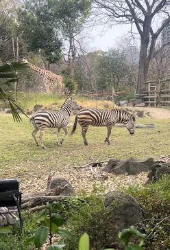 天王寺動物園に投稿された画像（2026/3/29）