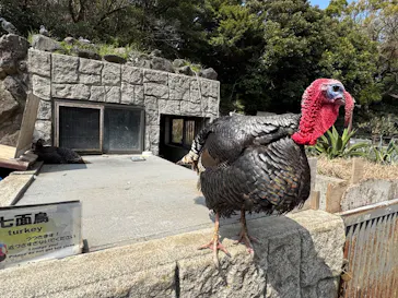 伊豆シャボテン動物公園に投稿された画像（2026/3/29）