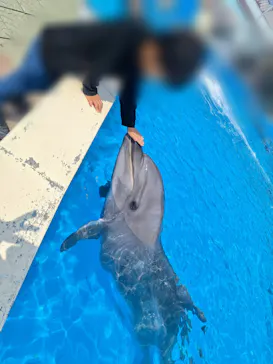 南知多ビーチランド＆南知多おもちゃ王国に投稿された画像（2026/3/29）