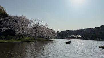 三溪園に投稿された画像（2026/3/29）