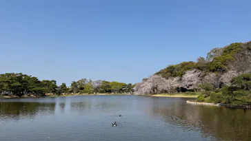 三溪園に投稿された画像（2026/3/29）