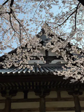 三溪園に投稿された画像（2026/3/29）