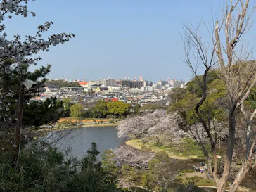 三溪園に投稿された画像（2026/3/29）