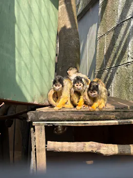 伊豆シャボテン動物公園に投稿された画像（2026/3/29）