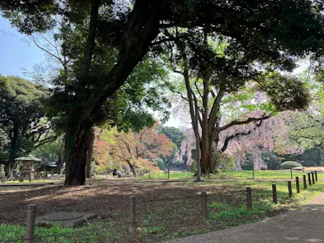 東京国立博物館に投稿された画像（2026/3/29）