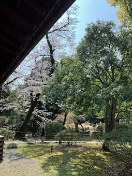 東京国立博物館に投稿された画像（2026/3/29）