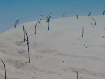 アクアワールド茨城県大洗水族館に投稿された画像（2026/3/29）