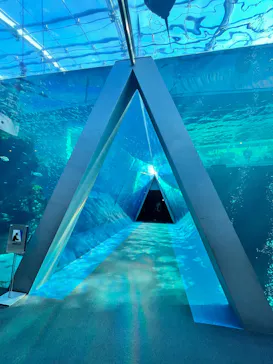 環境水族館アクアマリンふくしまに投稿された画像（2026/3/29）