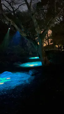 六義園に投稿された画像（2026/3/29）