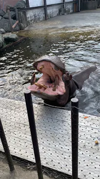 ANIMAL WONDER REZOURT 市原ぞうの国・サユリワールドに投稿された画像（2026/3/29）