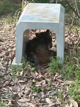 九十九島パールシーリゾートに投稿された画像（2026/3/29）