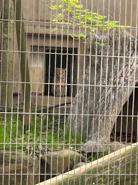 九十九島パールシーリゾートに投稿された画像（2026/3/29）