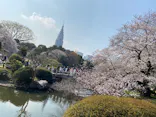 新宿御苑に投稿された画像（2026/3/29）