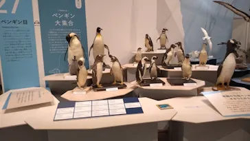 特別展「鳥 ～ゲノム解析が解き明かす新しい鳥類の系統～」に投稿された画像（2026/3/29）