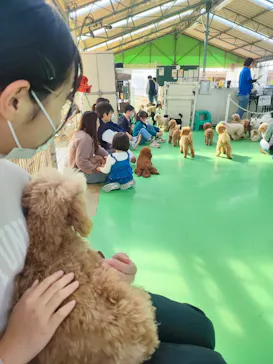 つくばわんわんランドに投稿された画像（2026/3/29）