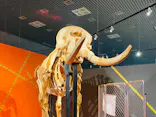 特別展「超危険生物展　科学で挑む生き物の本気」に投稿された画像（2026/3/29）