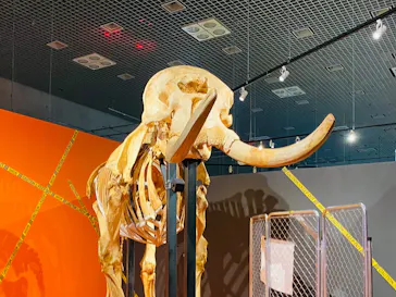 特別展「超危険生物展　科学で挑む生き物の本気」に投稿された画像（2026/3/29）