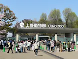 恩賜上野動物園に投稿された画像（2026/3/29）