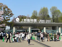 恩賜上野動物園に投稿された画像（2026/3/29）