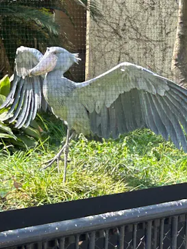 恩賜上野動物園に投稿された画像（2026/3/29）