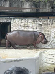恩賜上野動物園に投稿された画像（2026/3/29）