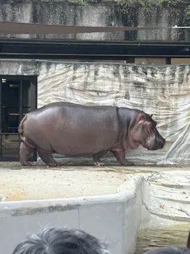 恩賜上野動物園に投稿された画像（2026/3/29）