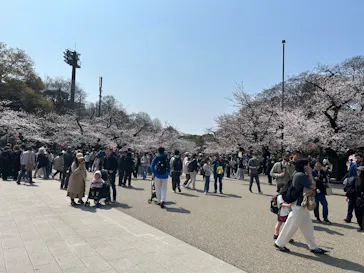 恩賜上野動物園に投稿された画像（2026/3/29）