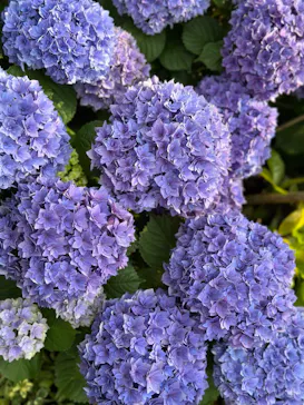 安城産業文化公園デンパークに投稿された画像（2026/3/29）