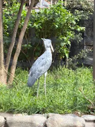 恩賜上野動物園に投稿された画像（2026/3/29）