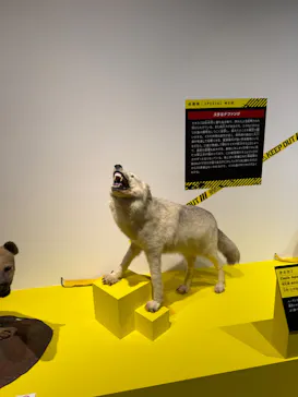 特別展「超危険生物展　科学で挑む生き物の本気」に投稿された画像（2026/3/29）