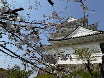 小田原城に投稿された画像（2026/3/29）