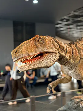 福井県立恐竜博物館に投稿された画像（2026/3/29）