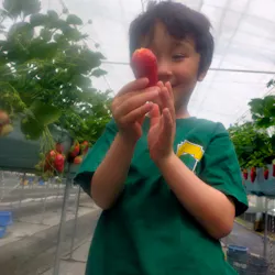 しい茸ランドかさやに投稿された画像（2026/3/29）