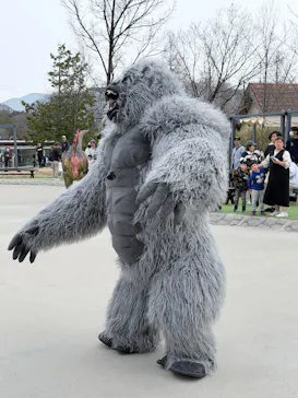 滋賀農業公園ブルーメの丘に投稿された画像（2026/3/29）