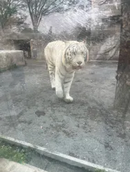 東武動物公園に投稿された画像（2026/3/29）