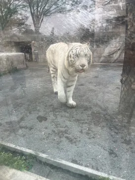 東武動物公園に投稿された画像（2026/3/29）