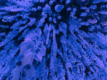 動き出す妖怪展 TOKYO 〜Imagination of Japan〜に投稿された画像（2026/3/29）